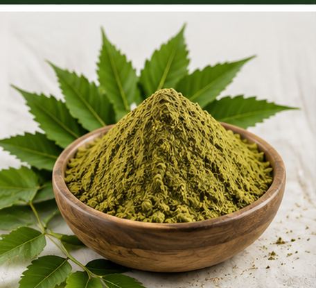 Neem leaves powder